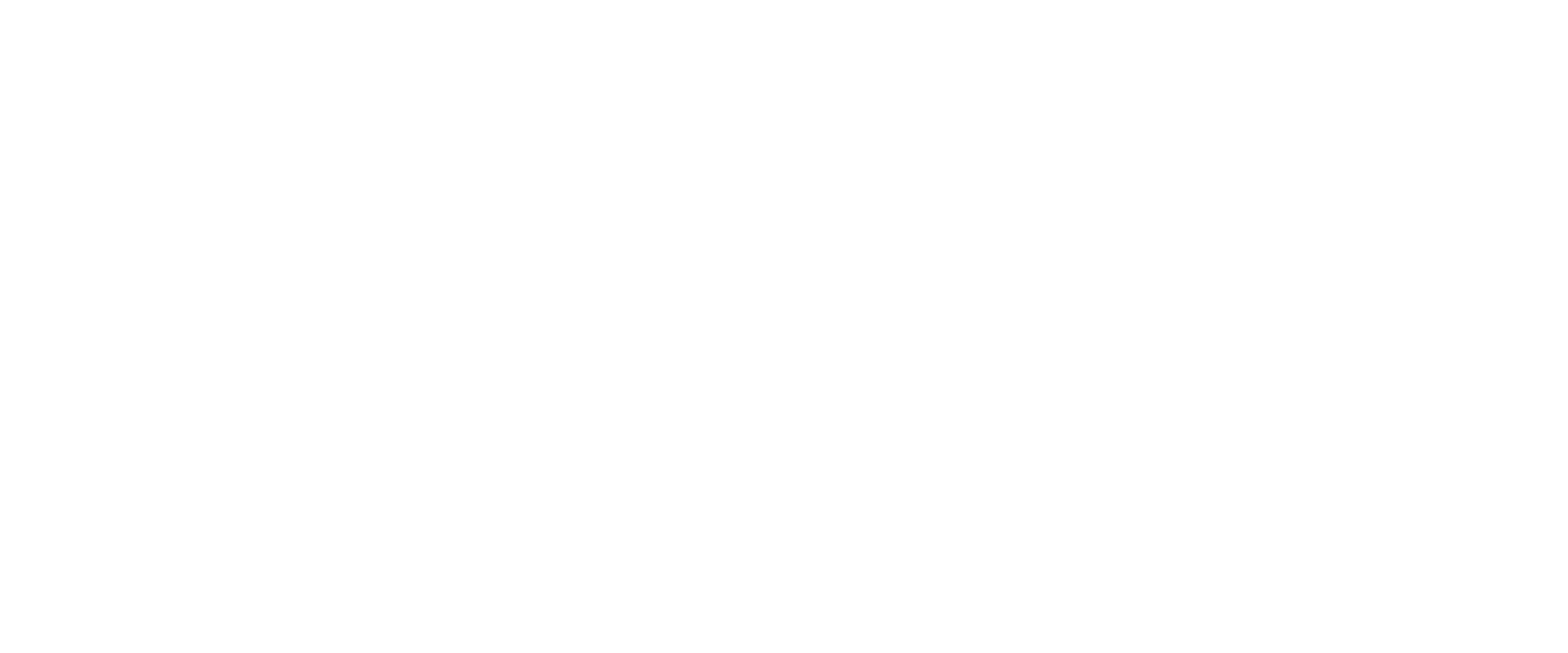 CTi Car Group
